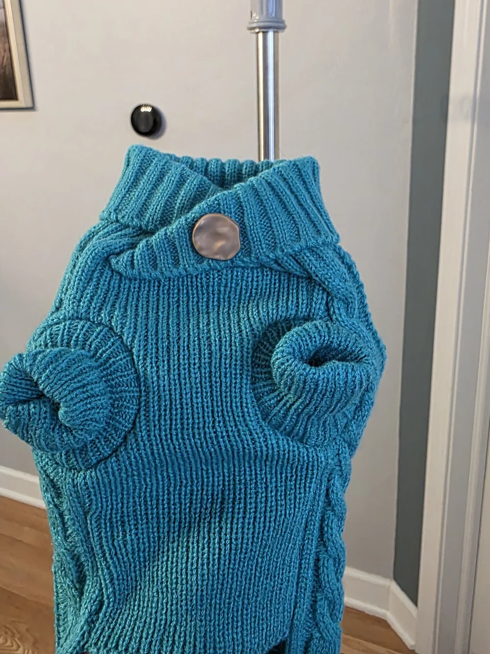 UF Bemo Teal Dog Sweater